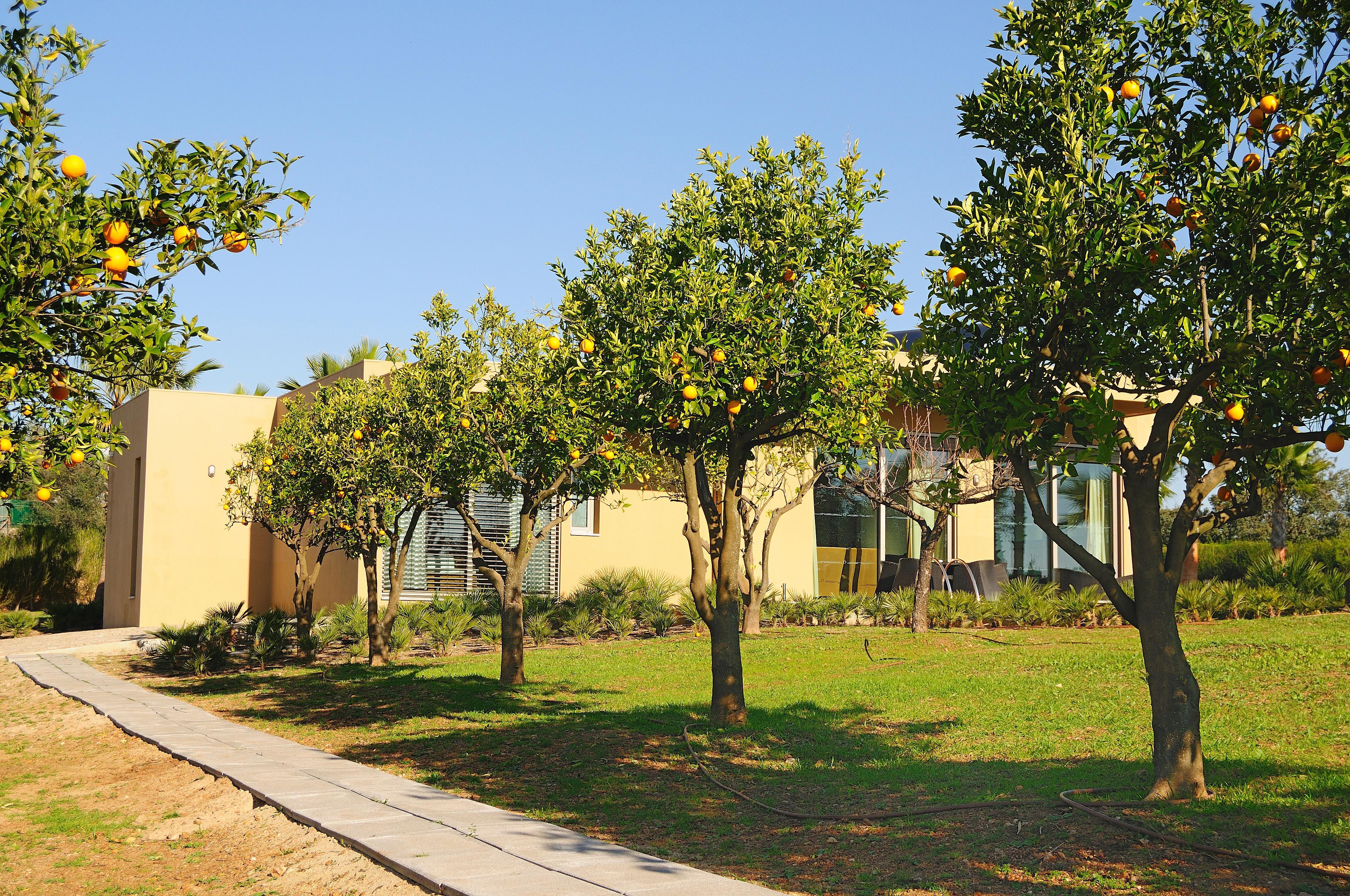 Montargil Monte Novo Hotel Luaran gambar